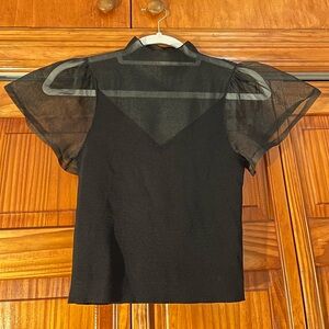 Zara Mesh Top